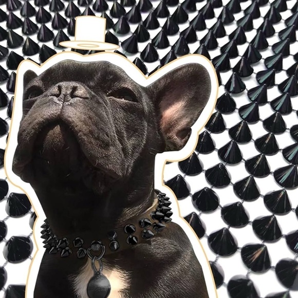 NEW 0.5 Yard Sew Stitch On Spike Stud Cone Flat Back Plastic Trim Mesh 10 Rows - Picture 4 of 9